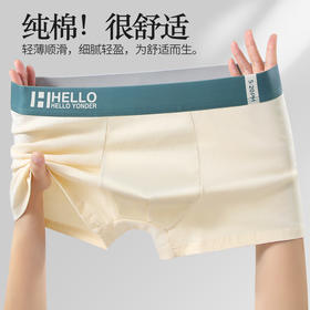 男士内裤男纯棉抗菌平角裤全棉质透气四角裤头男生大码短裤衩