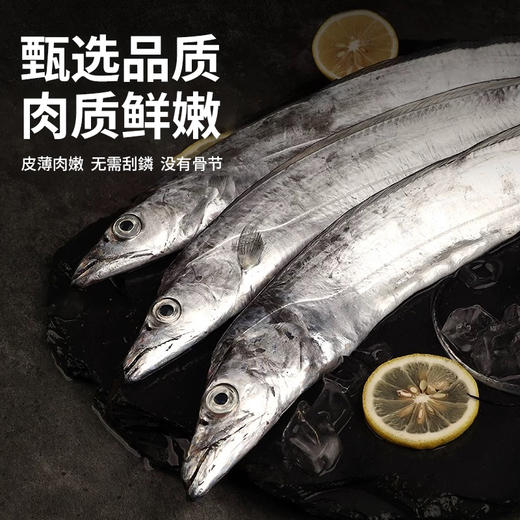 【舟山雷达网 野生大带鱼】 无需去鳞！舟山原产地发货 顺丰冷链配送 整条套袋 独立包装 无冰净重（中带，大带，顶带可选） 商品图1