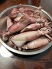 xm【抢抢抢！太便宜啦！！！】东山岛特定海域灯捕带籽小管，肉质更紧实脆嫩，籽满肉厚肉净无沙，顺丰活冻锁鲜 跟海边现捕上岸一模一样 商品缩略图7