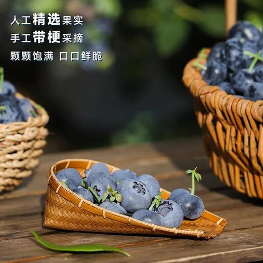 爱莓庄鲜梗蓝莓18mm+  150g/盒 商品图2