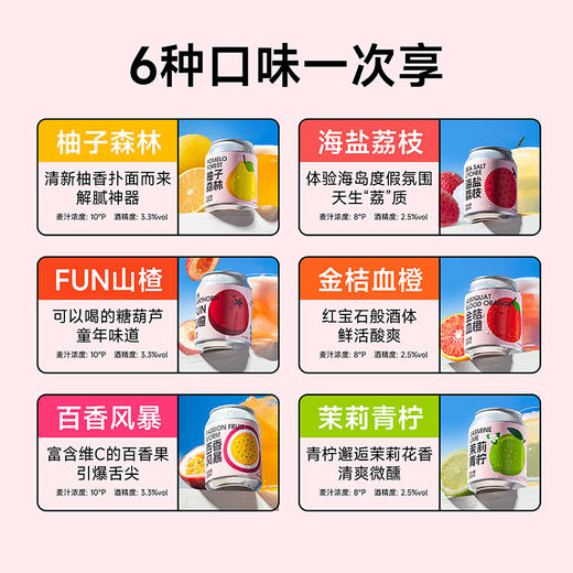【品牌日专享】斑马精酿经典小麦/果味啤酒组合 商品图3
