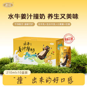 左江水牛姜汁撞奶 暖冬新品 驱寒暖胃营养美味