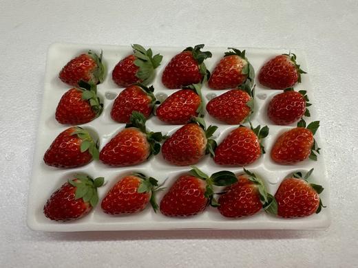 建德草莓 红颜/建德红 现采现发 鲜甜可口正当季 商品图0