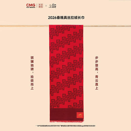 2026春晚真丝拉绒长巾 商品图3