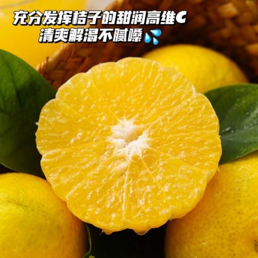 会昌甜桔柚 商品图4