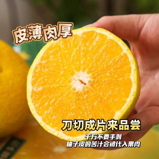会昌甜桔柚 商品图3