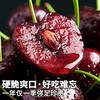 【顺丰/京东直达】智利进口桑提娜车厘子3J 2.5kg海运原箱礼盒装 商品缩略图0