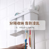 茶花 卡乐免打孔吸壁牙刷架 商品缩略图4