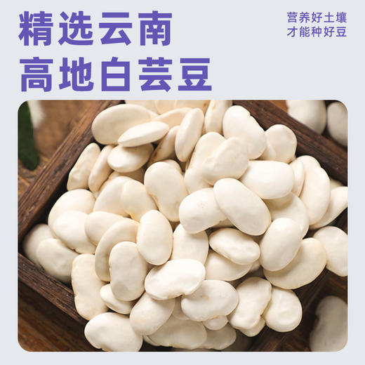 妙思丁 白芸豆膳食纤维粉500g/罐 商品图4