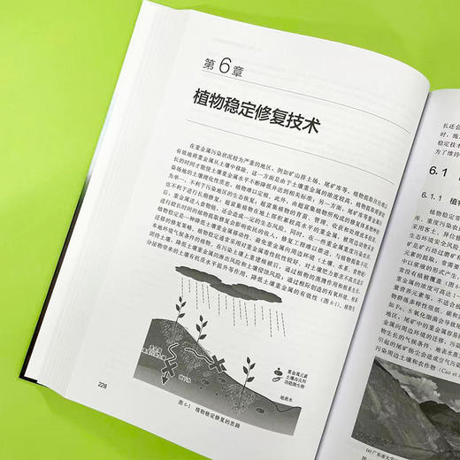 土壤重金属污染植物修复 商品图4