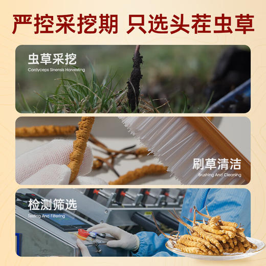 阿依舍 西藏野生冬虫夏草 约5根/g 10克约50根 那曲虫草礼盒礼品 商品图4