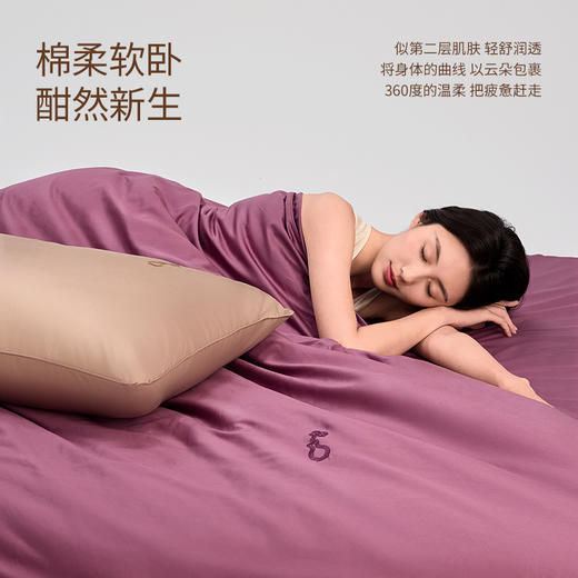 洁丽雅纯棉60S贡缎国色锦绣四件套新疆棉床上用品100棉床单被套罩 商品图3