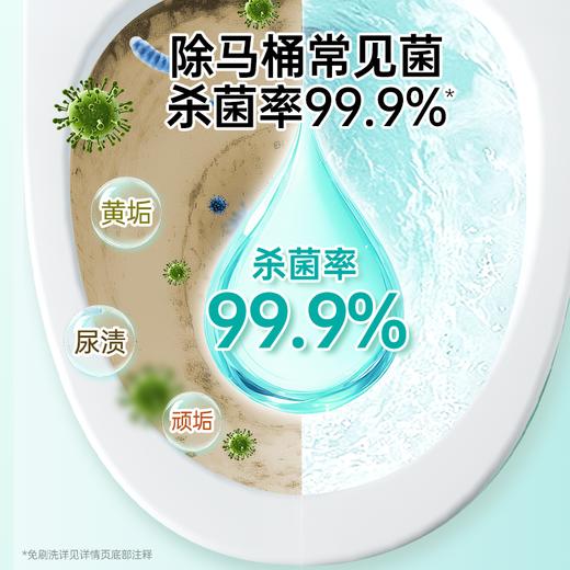 净狮碱性免刷洗洁厕剂绿色款5瓶|不脏手不费力，强效除黄污 商品图6