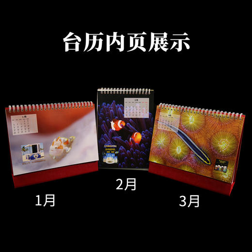 海洋生物定制台历（2026年） 商品图2