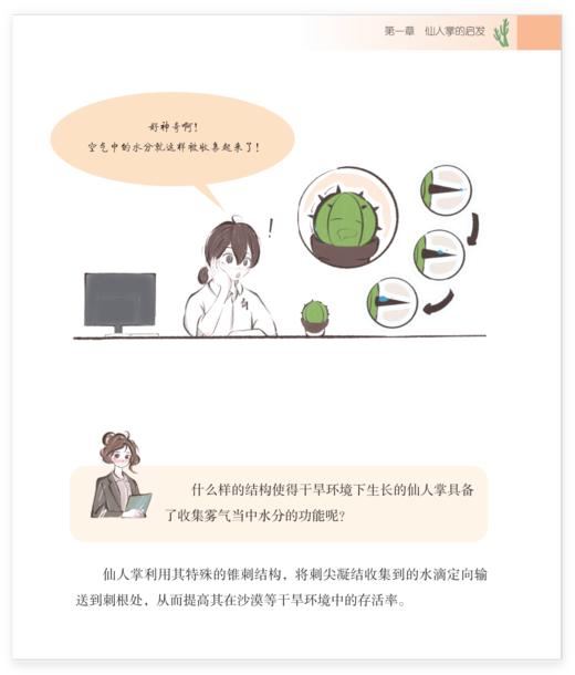 微观奇迹：自然启发的微纳科技 商品图4