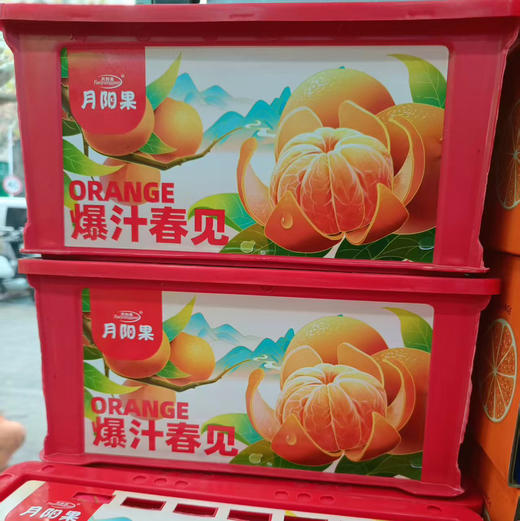 【好吃的品牌耙耙柑来喽】橘子味浓郁，纯甜（甜），水嫩多汁，明星爆款产品 商品图5