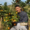 乾青园·生态赣南脐橙 5斤/9斤/19斤 | 合作农友生产，来自江西赣州，生产者：喻声胜 *【公平贸易农人定价】 商品缩略图11