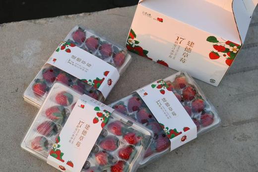 建德草莓 红颜/建德红 现采现发 鲜甜可口正当季 商品图2