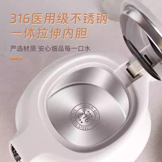 酒店专用bowei泊为电热水壶BW366家用开水壶民宿宾馆316不锈钢 商品图2