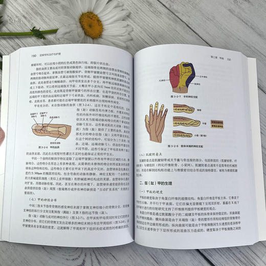 足病专科治疗与护理 商品图5