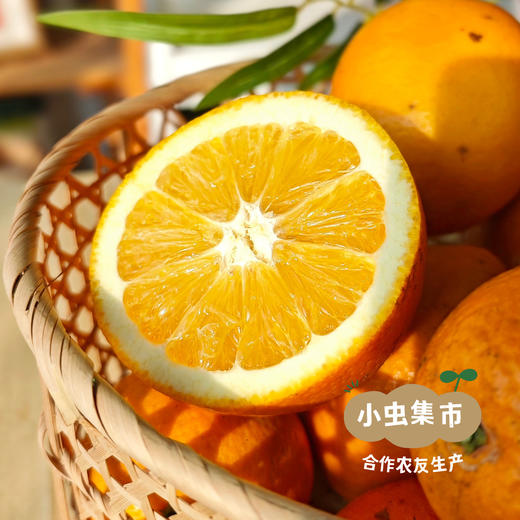 乾青园·生态赣南脐橙 5斤/9斤/19斤 | 合作农友生产，来自江西赣州，生产者：喻声胜 *【公平贸易农人定价】 商品图2