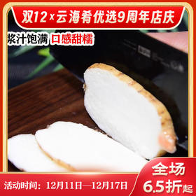 【云南昭通新鲜天麻】顺丰到家 个头短肥 肉质肥厚 口感回味甘甜 带泥发货 品质优良 新鲜现挖  4种规格任选