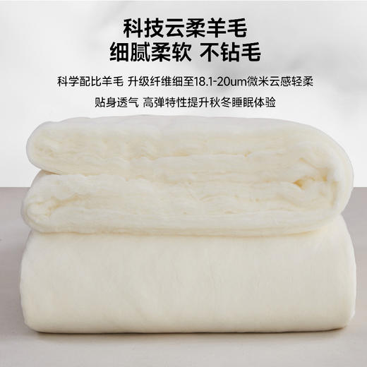 【A类母婴品质❗️柔软亲肤蓬松保暖】纯正羊毛被加厚保暖四季澳洲羊毛被子春秋冬羊绒被芯。jb 商品图1