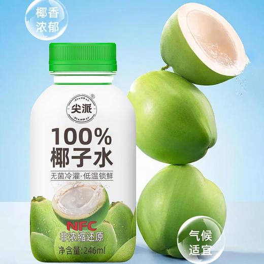 尖派 NFC椰子水 246ml 商品图0