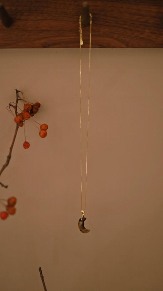 璞月项坠项链 商品图2