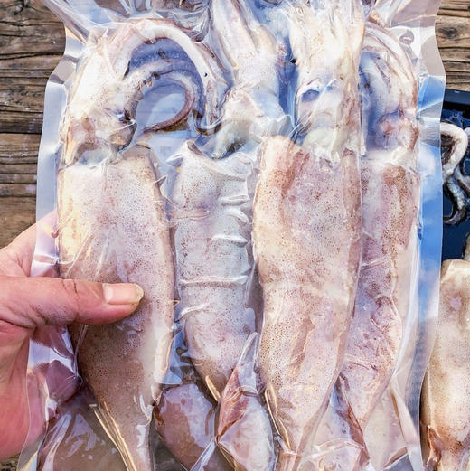 渤海火箭鱿鱼，冷水海域的鱿鱼品种，特点是肉厚，无浸泡漂白，保持原浆原色，1.5斤/袋（3-5条） 商品图8