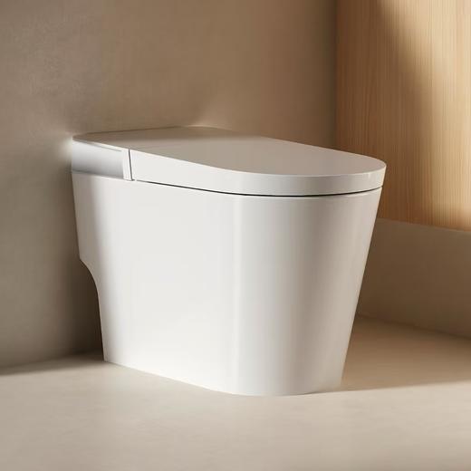 法恩莎卫浴 全智能坐便器FST0802 带水箱 商品图1