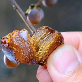 2025新货，无核黑枣 太行山高品质天然维生素果 黑枣不是枣 果肉松软有弹性 基地直邮