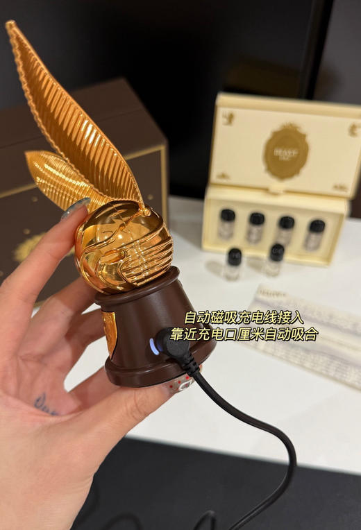 野兽派飞贼车载香薰121007 商品图10