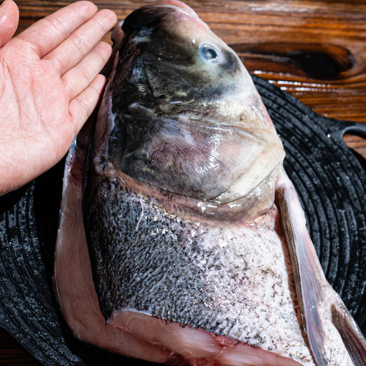 【每周五发货】千岛湖大鱼头丨活鱼现杀现发，超大个头，炖鱼头汤，剁椒鱼头，鱼头又肥又嫩，整个（3斤+）/半个（1.5斤+）⭐️顺丰快递 商品图1