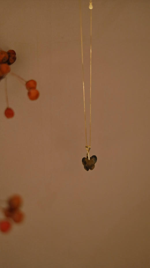 石碟项坠项链 商品图2