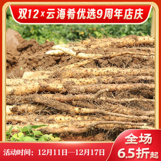 【铁棍山药】下单中果和大果普箱装送108g桃酥一袋 中国头茬山药 温县垆土铁棍 香甜面糯 肉质紧密 新鲜铁棍山药 3种规格任选 商品图0