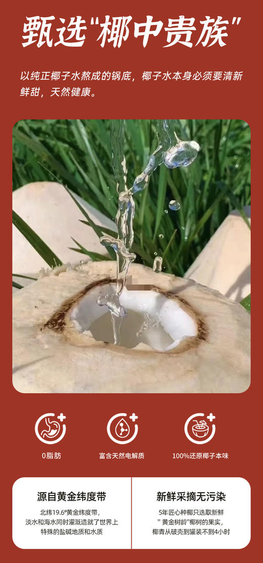 【耶气满满】 4-6人份椰子鸡，冬天必备 商品图3