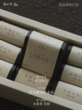 清如许茶山优选｜2023官头𪨶凤凰水仙9泡装54克 木质香苔藓香