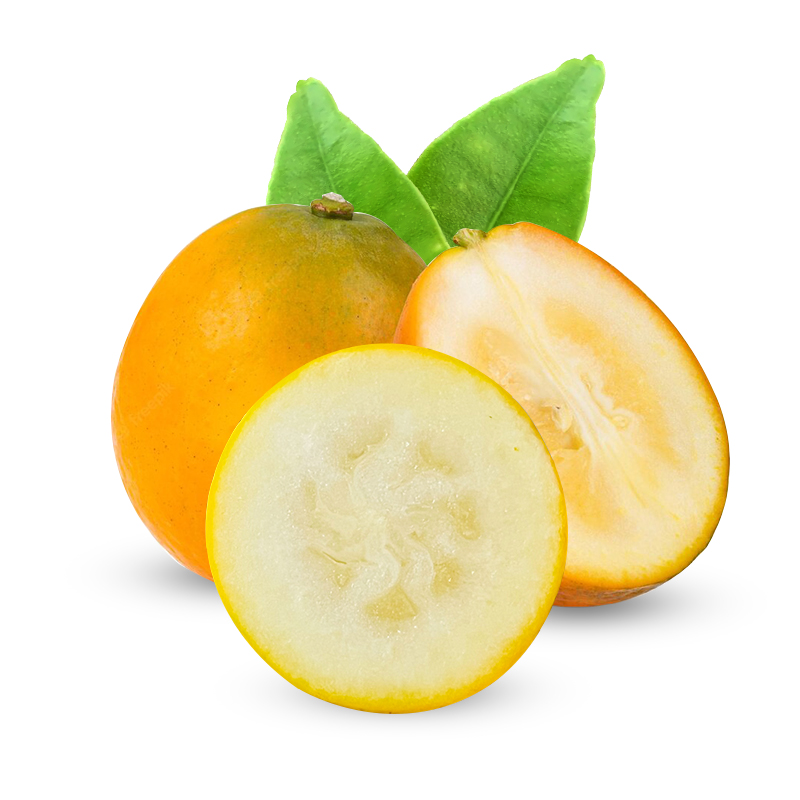 第三代广西融安金桔  脆蜜金柑一件2斤 礼盒装  润肺化痰，提高免疫力