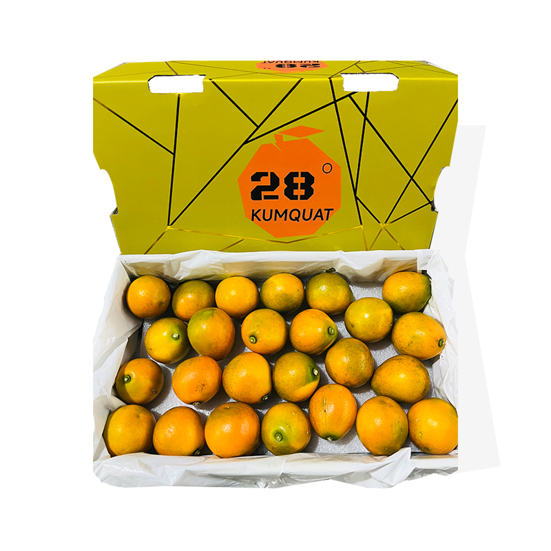 【推荐】第三代融安金桔28°C  脆蜜金柑 一箱3斤 礼盒装大果  纯甜不涩口