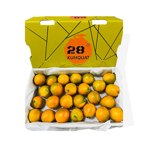【推荐】第三代融安金桔28°C  脆蜜金柑 一箱3斤 礼盒装大果  纯甜不涩口 商品图0