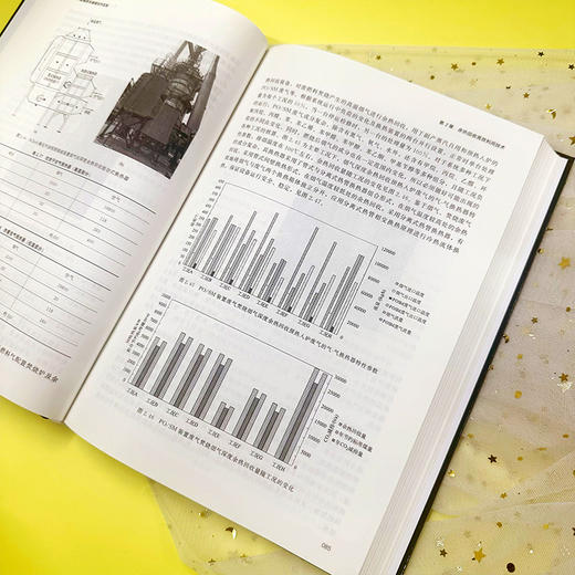 节能减排与减碳技术实践 商品图7