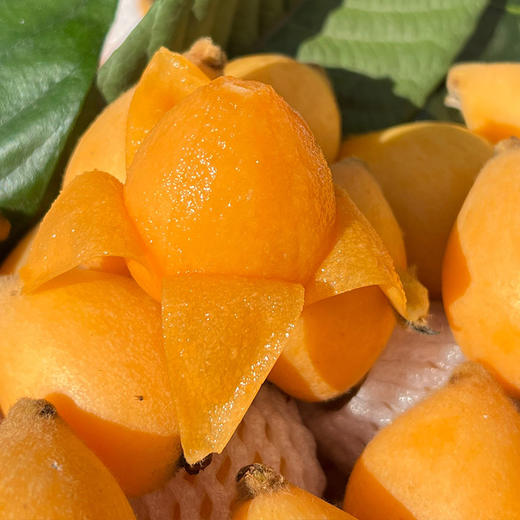 米易新鲜枇杷 酸甜口感  高山种植  新鲜采摘  自然生长直接吃煮糖水佐食 老人小孩都爱吃 商品图3