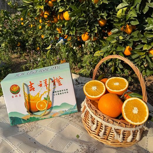 正耕 吉祥呈-有机富硒赣南脐橙 商品图0