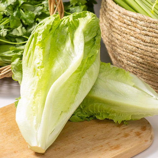 【满6份包邮】有机蔬菜自选| 洋葱、娃娃菜、紫甘蓝、小平菇等多种蔬菜，可自由选择，满6份包邮⭐️顺丰快递 商品图8