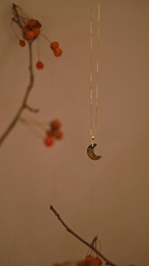 璞月项坠项链 商品图3