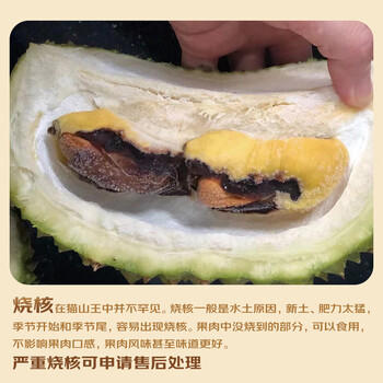 京鲜生马来西亚D197猫山王榴莲冷冻2-2.5斤保3房新鲜生鲜水果 商品图2