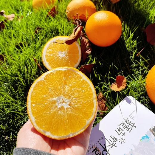 【新鲜上市 8.3折起】江西赣南脐橙 生态橙子水果 带箱3斤/5斤/10斤 商品图0