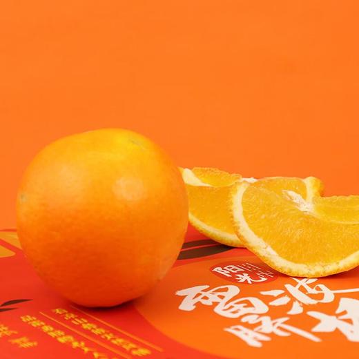 雷波脐橙5kg 商品图1