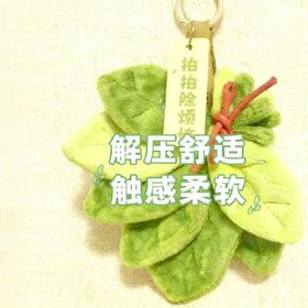 【触感柔软❗️扫除霉运】柚子叶手工挂件祈福去霉运寓意美好可悬挂车内家居装饰随身携带。jb